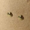Zara Gold Shell Stud Earrings