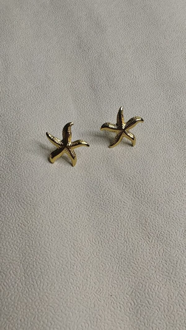 WhatsApp Image 2025-07-08 at 13.37.54 (1) Starfish Stud Earrings