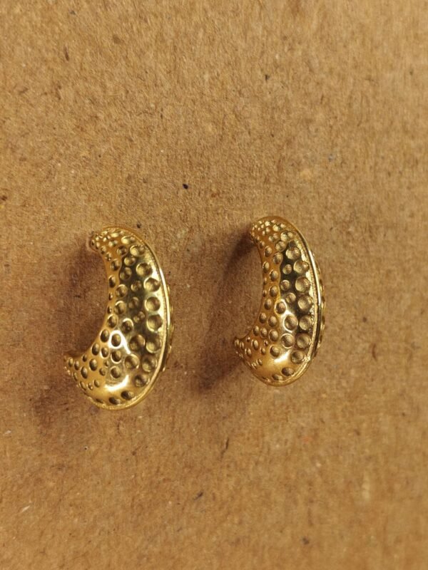 WhatsApp Image 2025-07-08 at 17.12.00 (1) Textured Gold Crescent Hoop Earrings