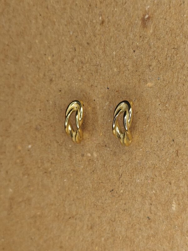 WhatsApp Image 2025-07-08 at 17.14.07 (1) Gold-Tone Sculpted Minimal Earrings