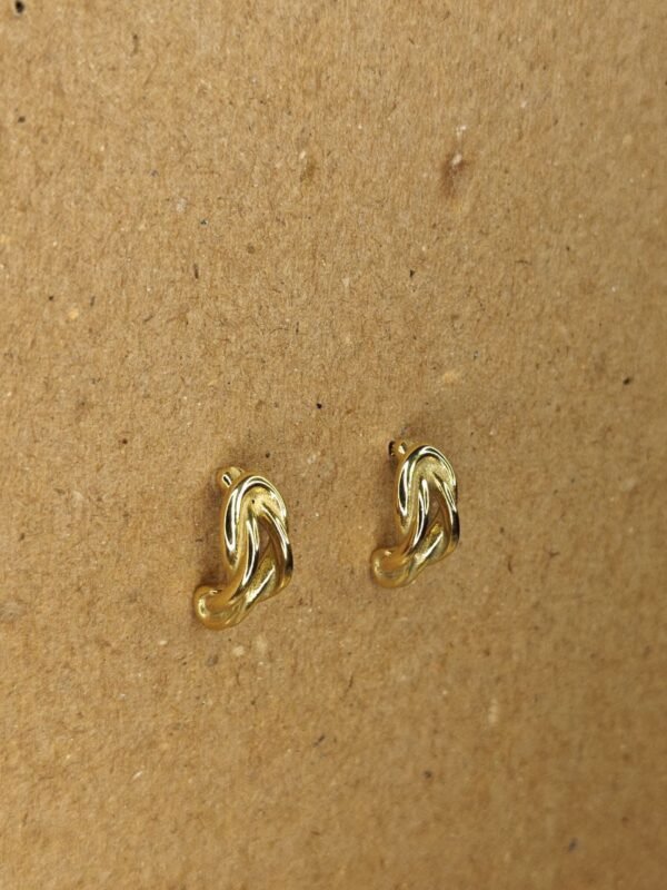 WhatsApp Image 2025-07-08 at 17.14.08 Gold-Tone Sculpted Minimal Earrings